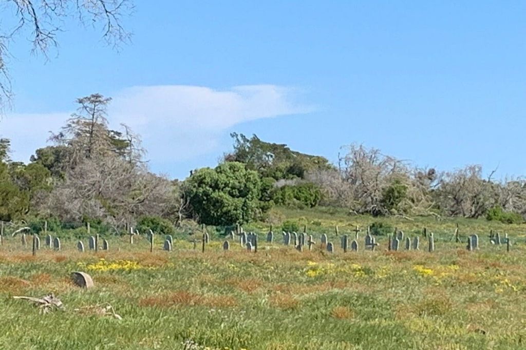 아파르트헤이트 기간 동안 사망한 정치범들의 묘지.
