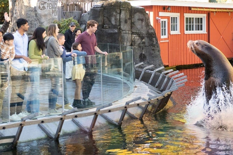 구조된 바다사자와 가까이에서 만나는 나만의 시간