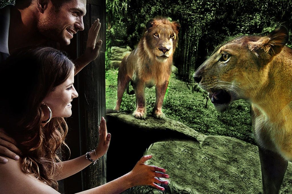 인도네시아인이 아닌 사람들을 위한 발리 동물원