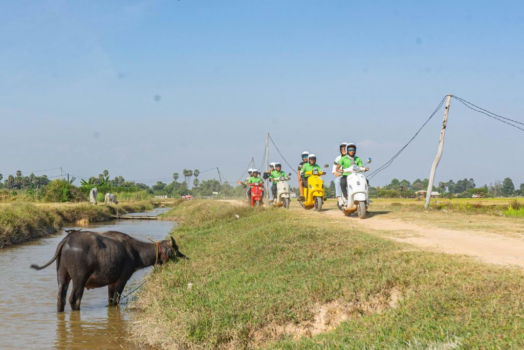 텍스트는 번역이 필요하지 않습니다.