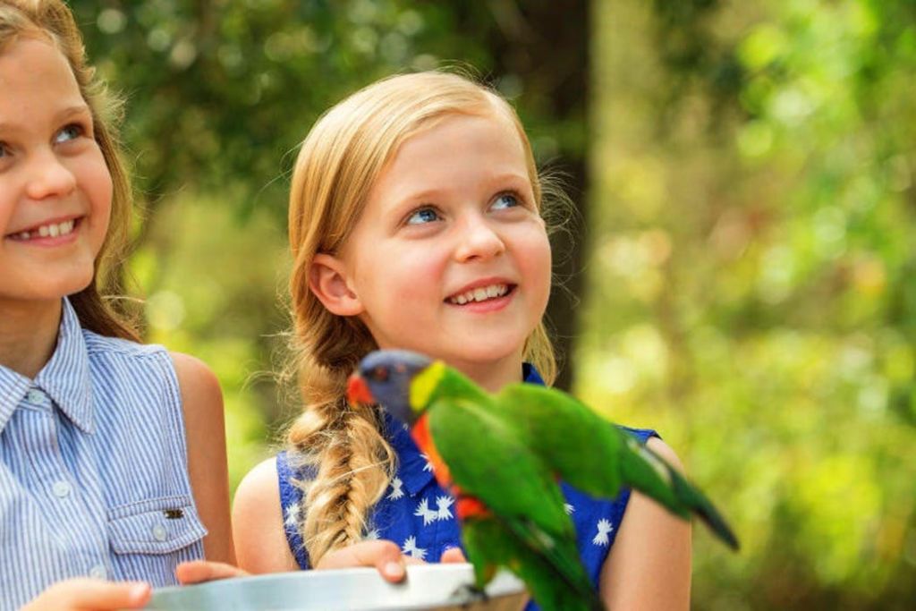 파라다이스 컨트리