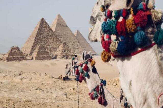 피라미드에서 낙타 타기