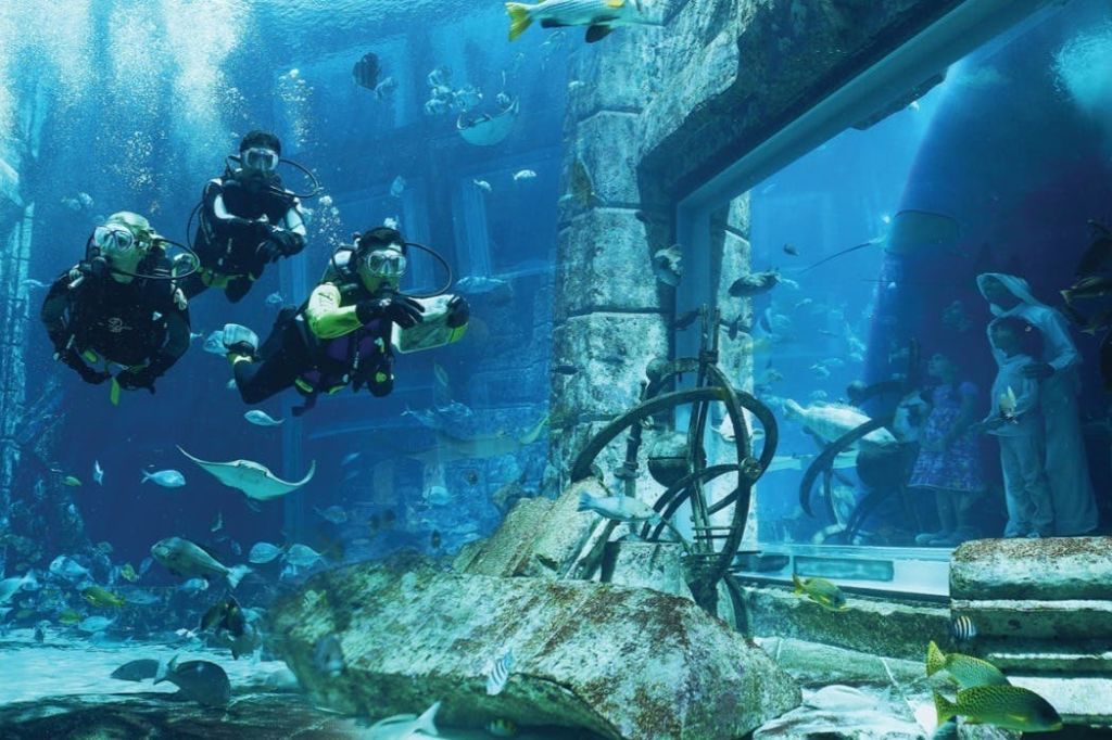 두바이 수족관 & 수중 동물원