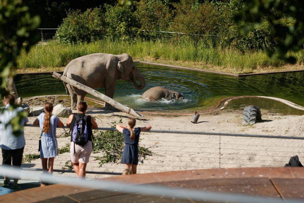 코펜하겐 동물원