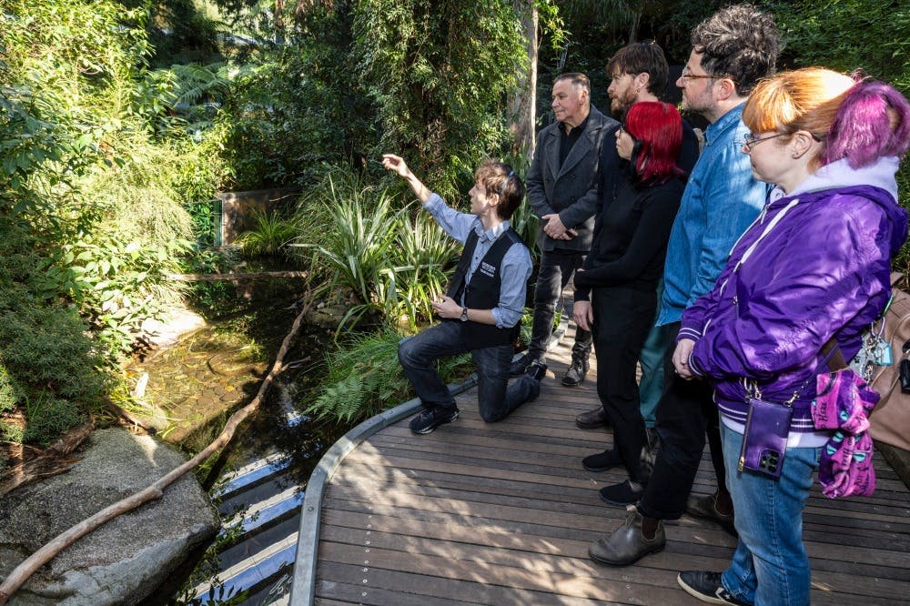 Melbourne Museum Highlight Tour