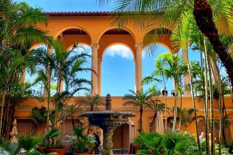 마이애미 그레이라인