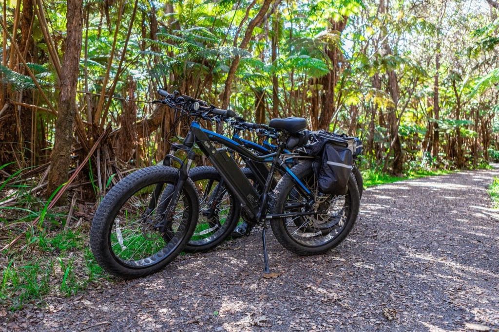 울창한 녹음으로 둘러싸인 숲길에는 두꺼운 타이어와 새들백, 거치대가 달린 전기 자전거 두 대가 주차되어 있습니다.