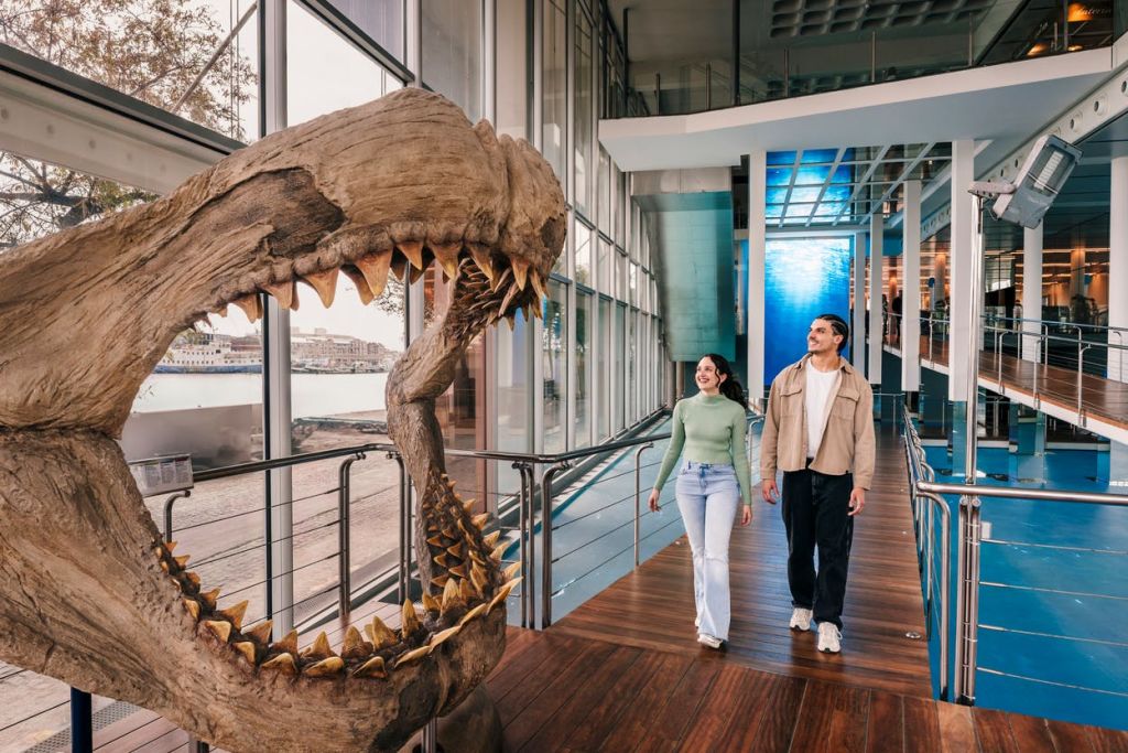 두 사람이 유리 벽이 있는 현대적인 건물 내부의 목조 통로를 따라 걷고 있으며, 공룡의 두개골이 전시되어 있습니다.