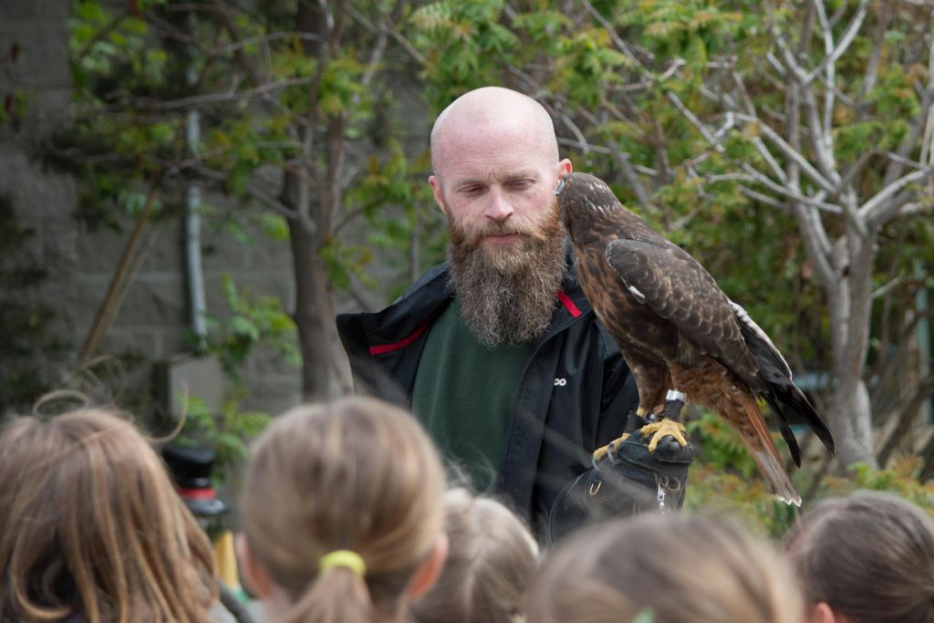 장갑을 낀 손에 갈색 매를 들고 있는 수염을 기른 남자와 그 앞을 지켜보고 있는 어린이들.