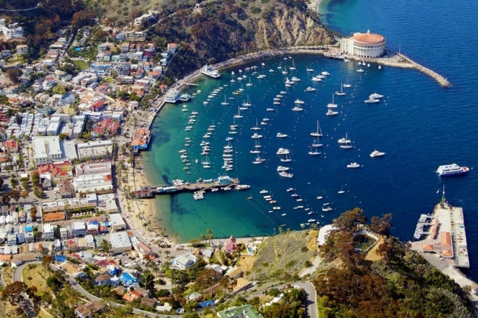 카탈리나섬 당일 여행 + 아발론의 아름다운 풍경을 만나는 드라이빙 투어