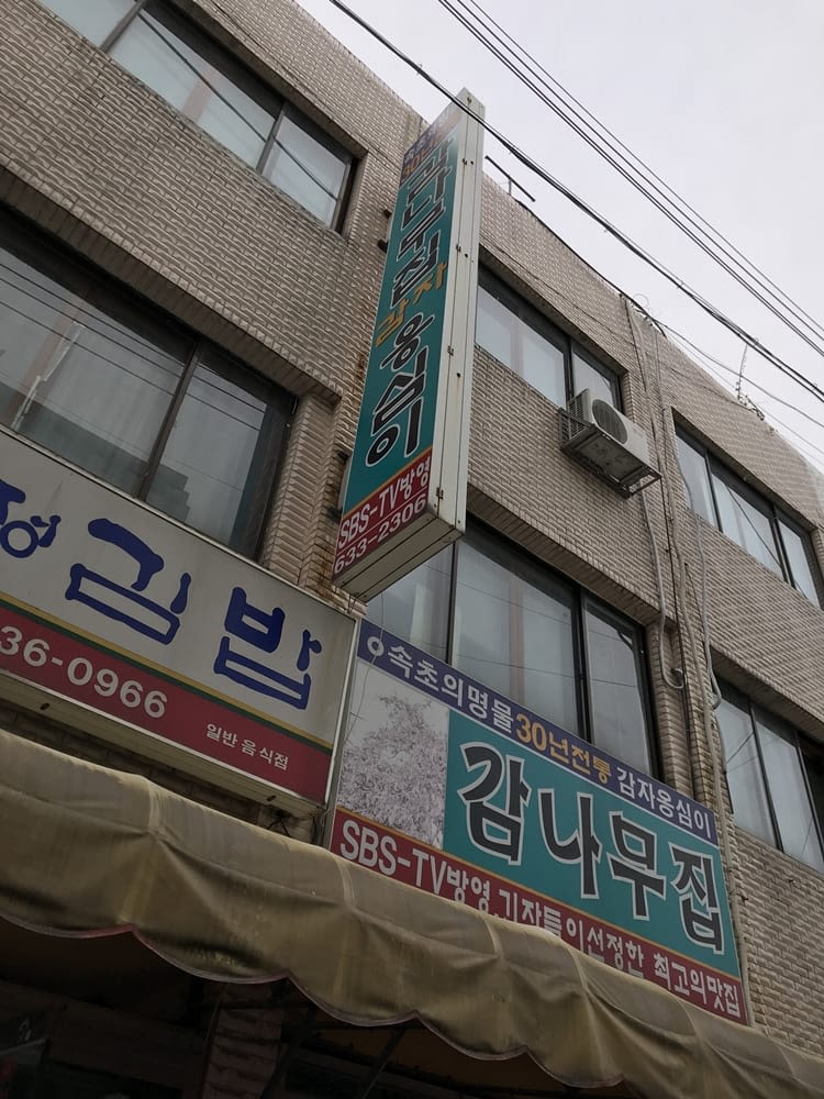 감나무 집