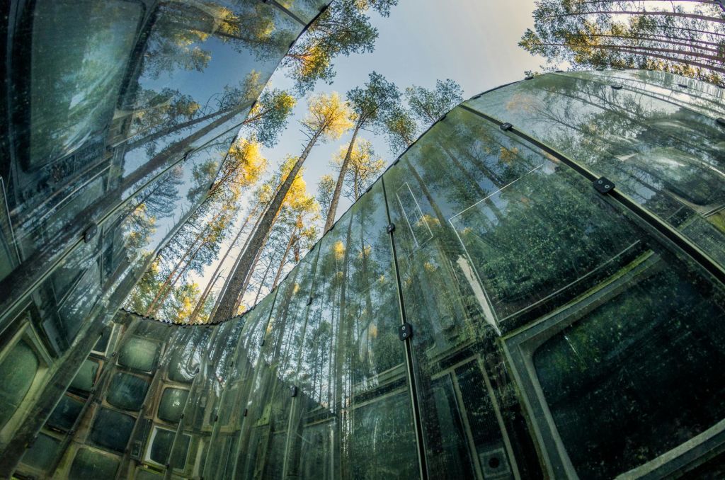 현대적인 건물의 곡선형 유리 벽에 반영된 높은 나무는 자연과 건축의 완벽한 조화를 강조합니다.