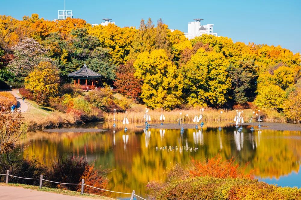 オリンピック公園