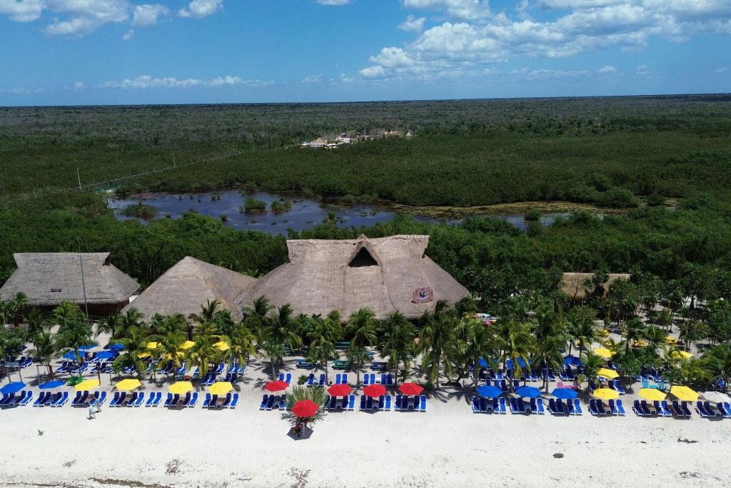 야자수와 빽빽한 녹지로 둘러싸인 팔라파 지붕의 건물, 화려한 비치 체어, 파라솔이 있는 비치 리조트입니다.