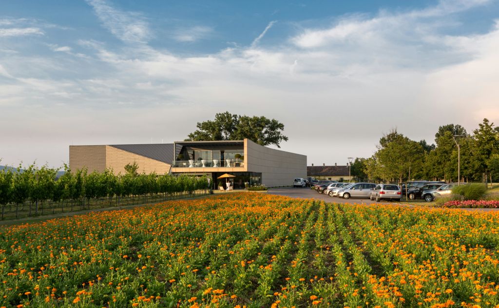 부분적으로 흐린 하늘 아래 주차장 옆의 현대적인 건물과 활기찬 꽃밭.