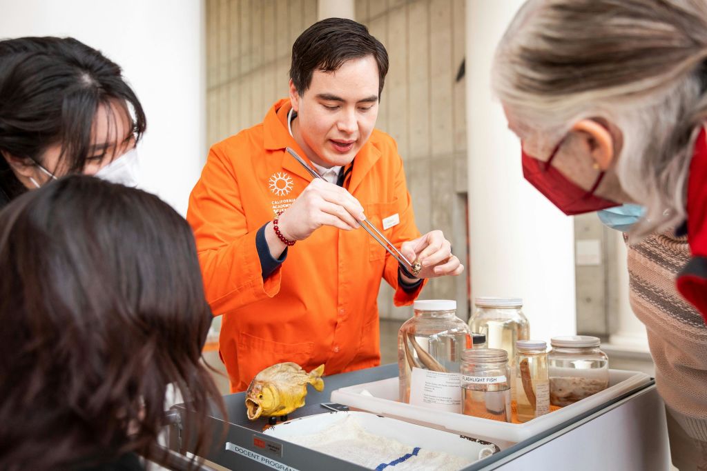 박물관 바닥에서 표본을 자랑하는 아카데미 강사