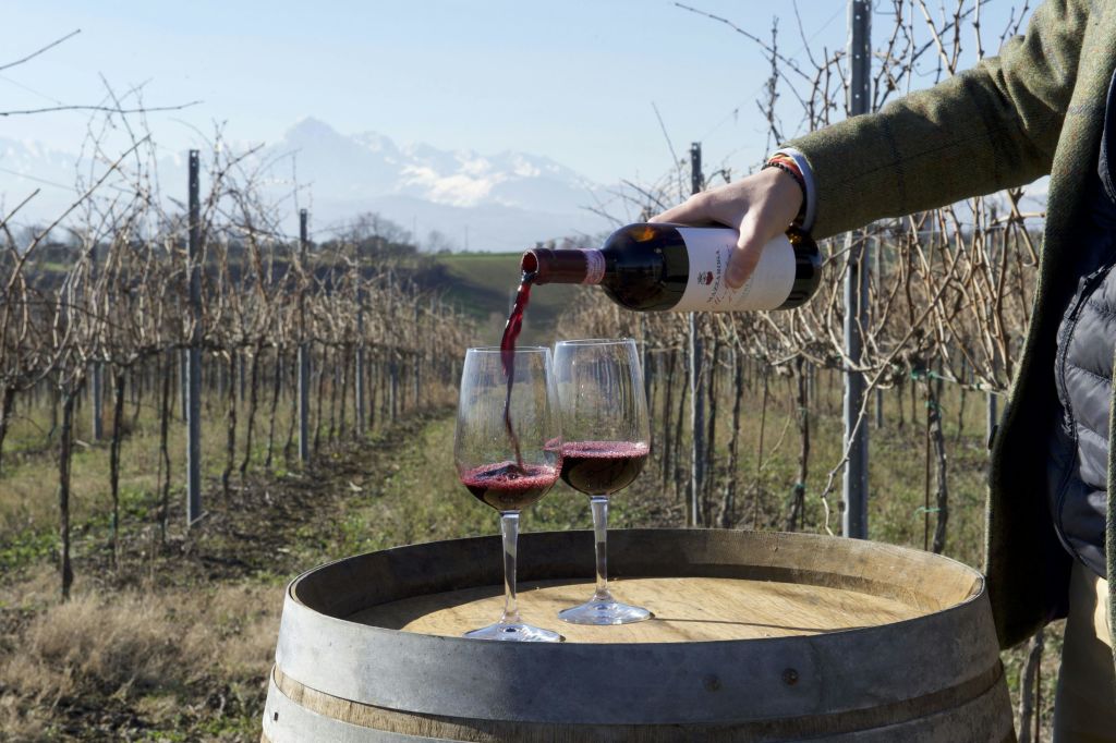 포도밭을 배경으로 잎이 없는 포도나무와 산을 배경으로 한 손이 레드 와인을 통에 담아 두 잔에 붓습니다.