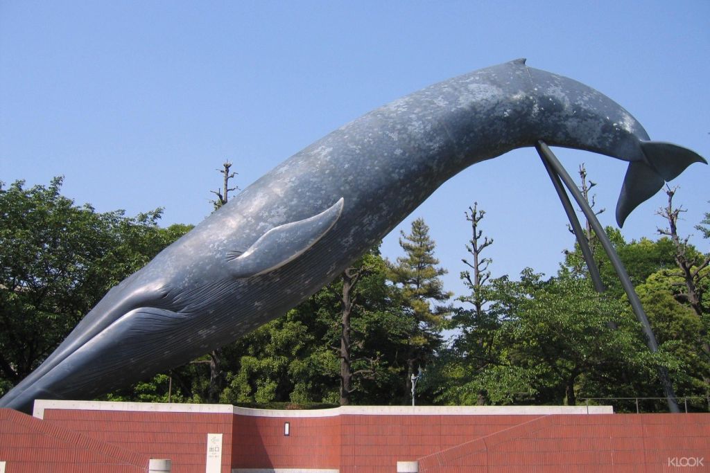 일상에서는 볼 수 없는 크고 실물 같은 고래상을 감상해 보세요.