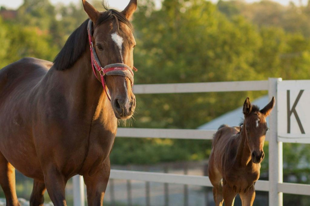 단 하나의 사랑