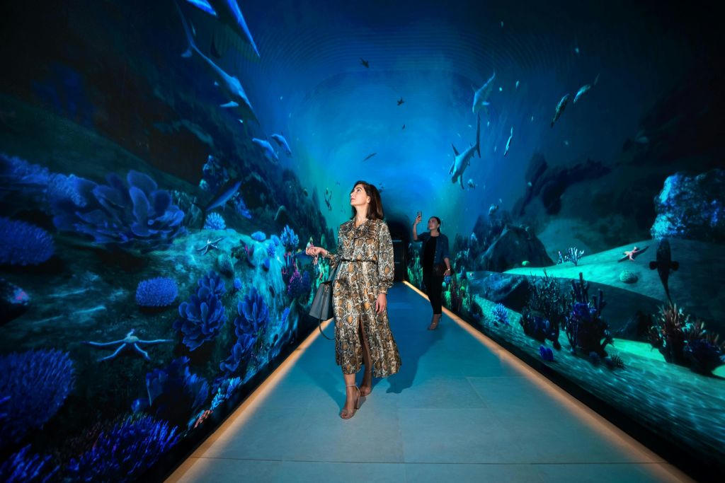 야자수 터널 전망