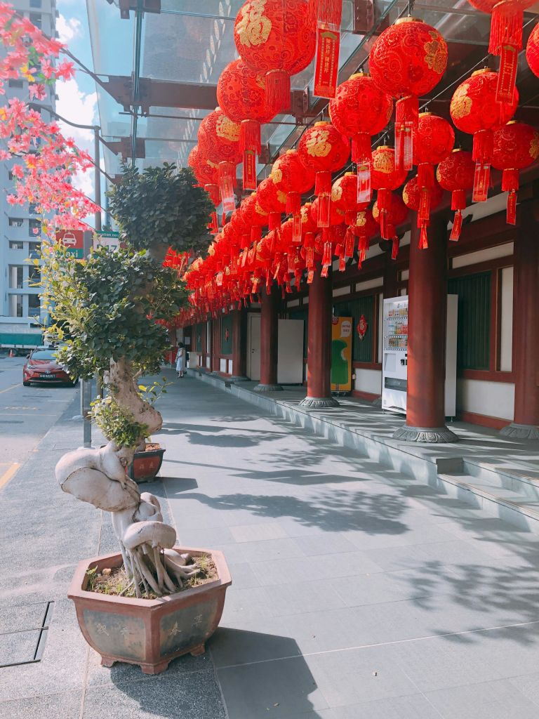 화분이 있는 보도, 기둥이 달린 건물에 매달린 붉은 등불, 배경에는 주차된 차량이 있습니다.