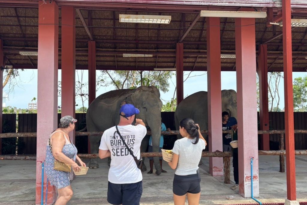 두 마리의 코끼리에게 먹이를 주는 사람들.