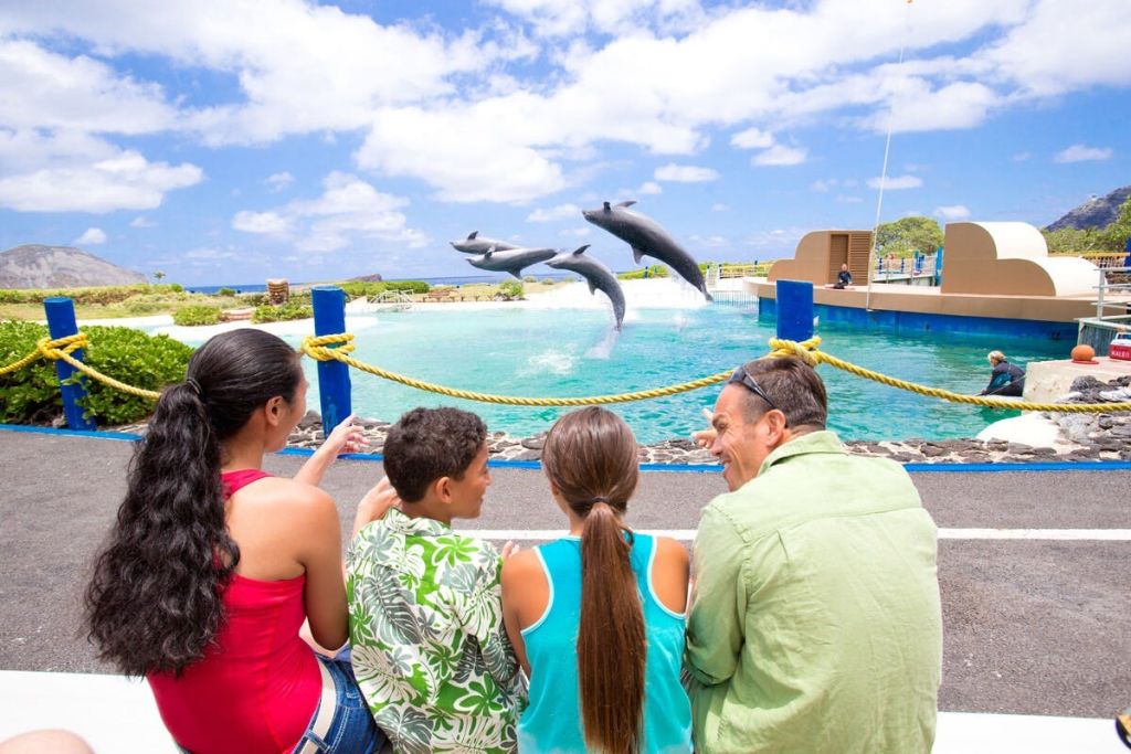 오아후 고시티: 익스플로러 패스