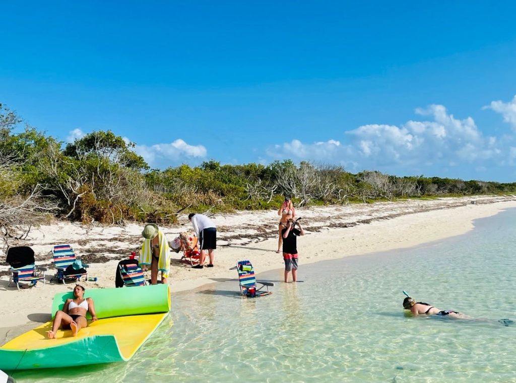의자, 얕은 물, 나무를 배경으로 해변에서 화창한 하루를 즐기는 사람들.