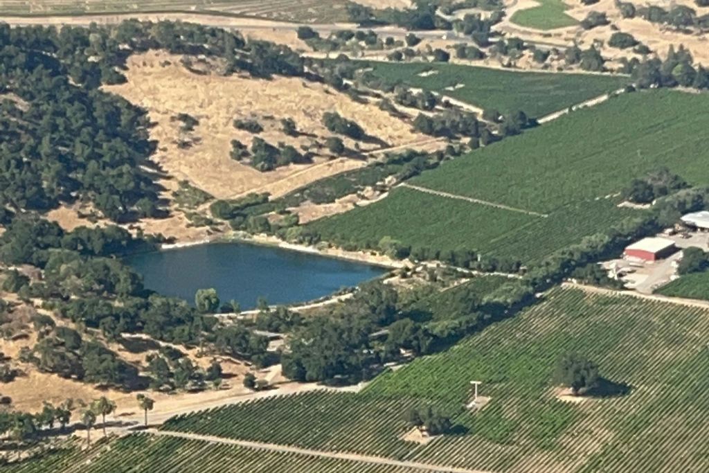 Napa wine pond