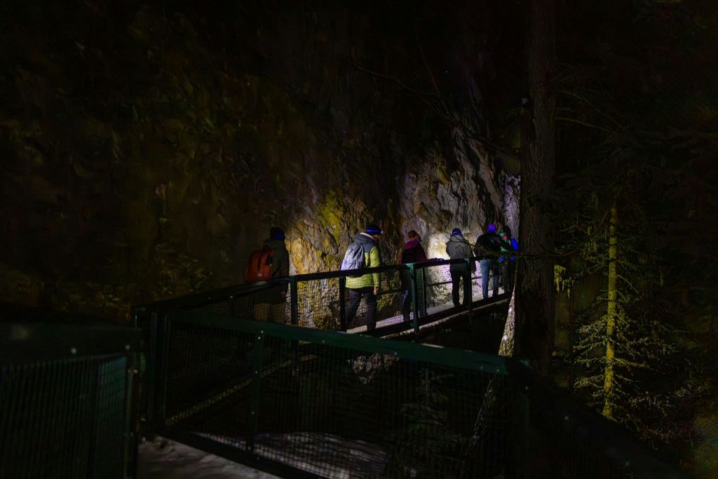 밴프 투어 - 저녁에 즐기는 존스턴 캐니언 아이스워크