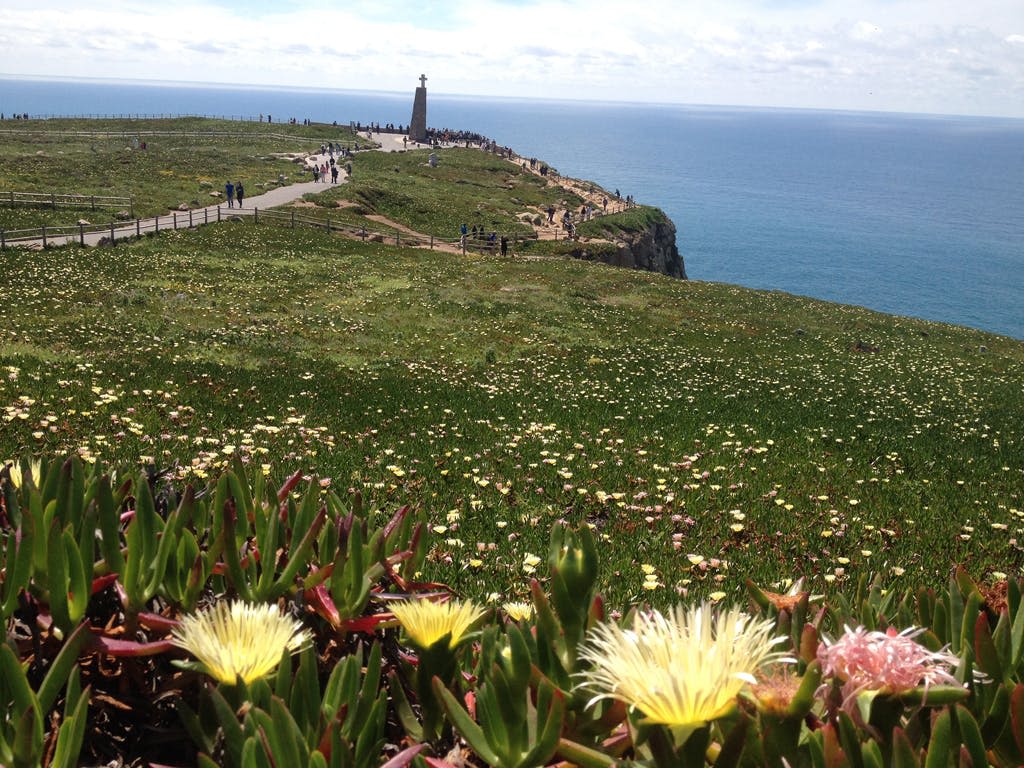 잔디가 우거진 절벽에서 꽃이 피고 바다가 내려다보입니다. 사람들은 저 멀리 기념비로 이어지는 길을 걷습니다.