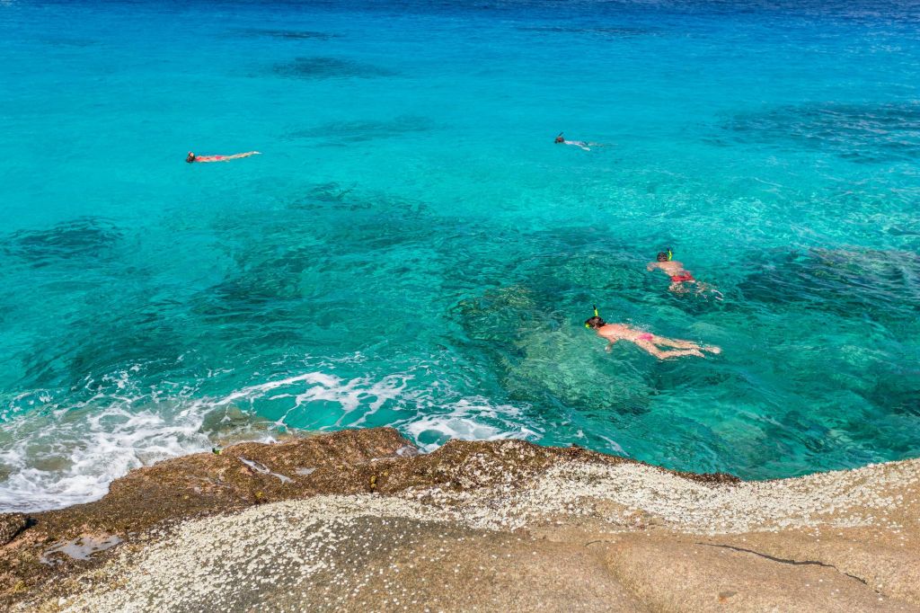 자연 그대로의 수중 생태계에서 풍부한 해양 생물을 만나보세요.