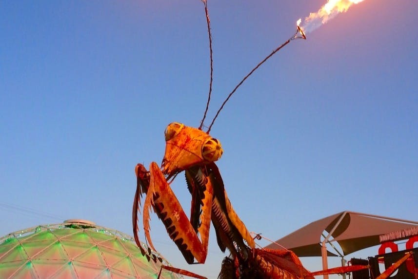 프리몬트 스트리트 애프터 다크 - 글리터 걸치