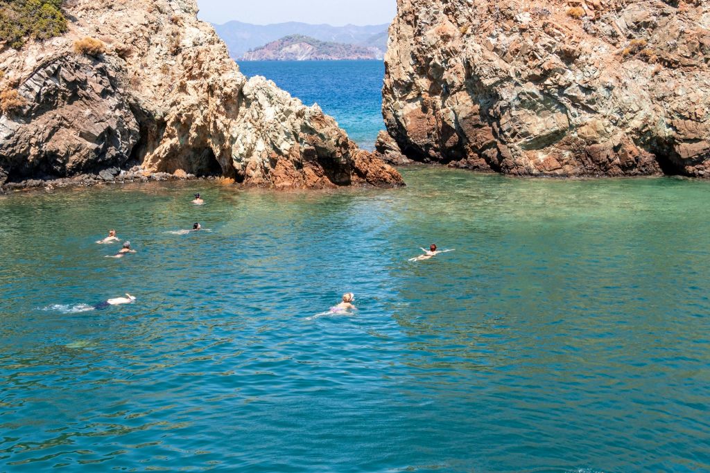 NATATATION 일시 중지