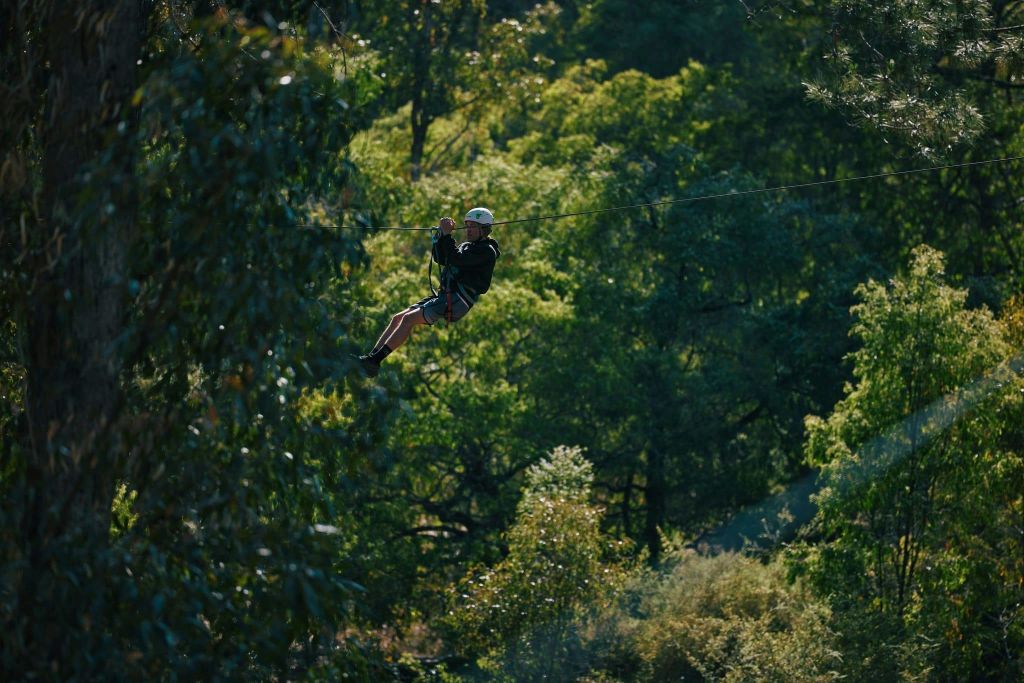 500미터가 넘는 집라인