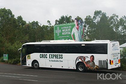 Croc Express 투어로 브리즈번이나 골드코스트에서 원활한 여행을 즐겨보세요