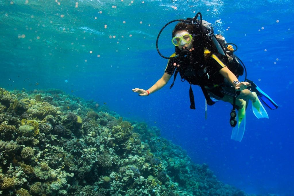 후르가다: 가이드와 함께하는 스쿠버다이빙 체험 + 왕복 교통편 + 점심 식사
