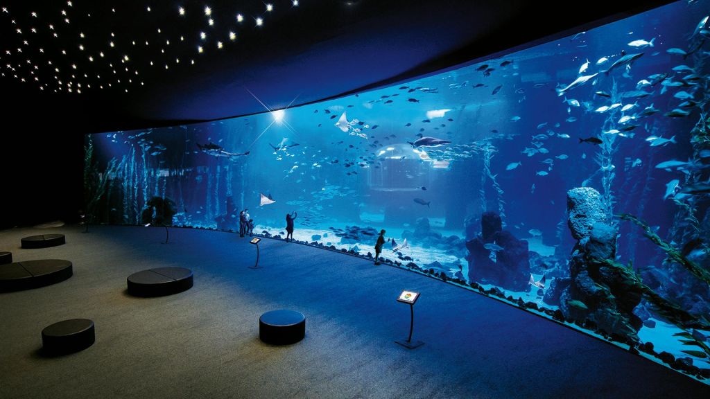 방문객들은 천장 조명이 있는 어둡고 넓은 객실에서 대형 수족관 창문을 통해 해양 생물을 관찰합니다.