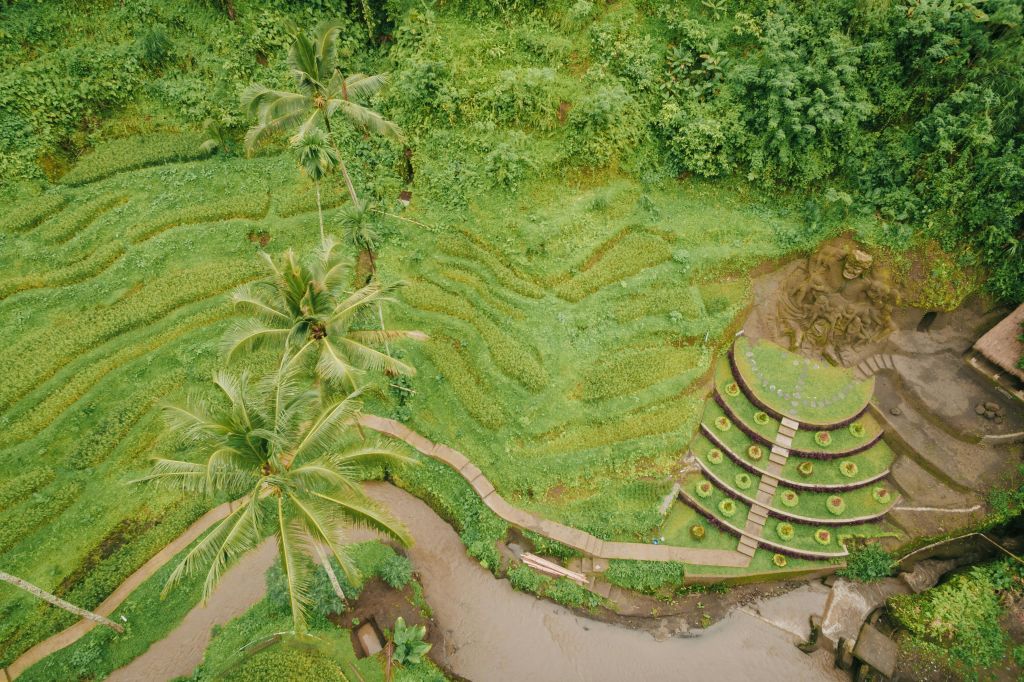 테갈랄랑 우붓 발리에서 즐기는 알라스하룸 농경 투어