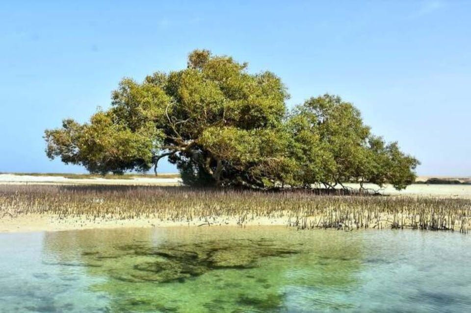qulaan-marsaalam