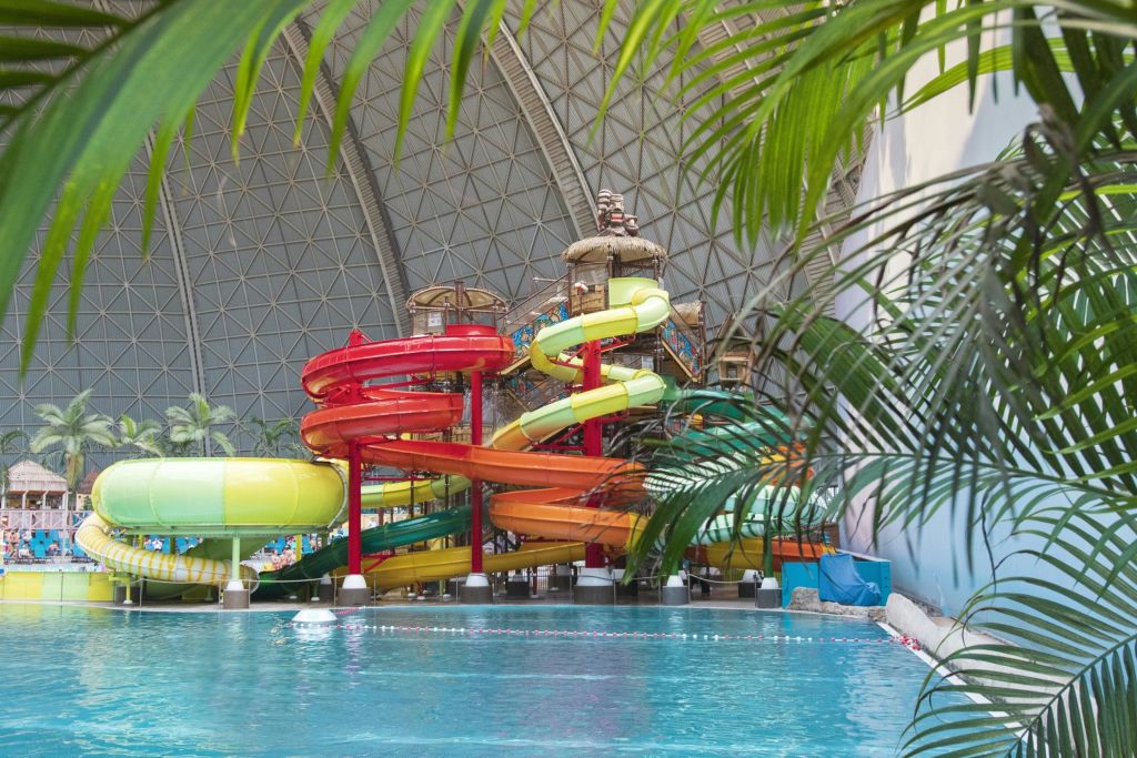 새로운 정글 스플래시 물놀이장에서 물놀이를 즐겨보세요! 650평방미터 이상의 면적