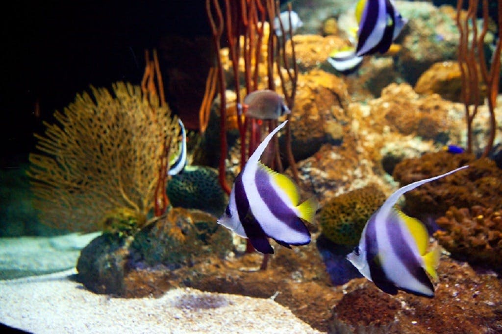 언더워터월드 파타야