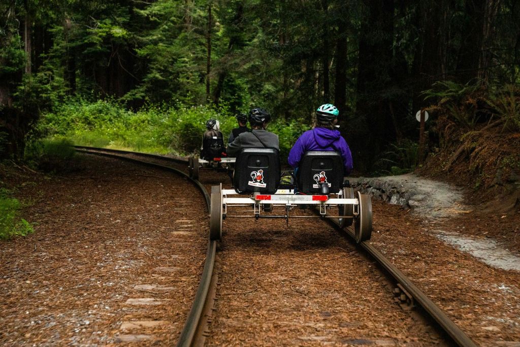 숲이 우거진 기차 트랙에서 페달로 구동되는 레일카를 타는 사람들. 빽빽한 녹색 단풍이 트랙을 따라 늘어선다.