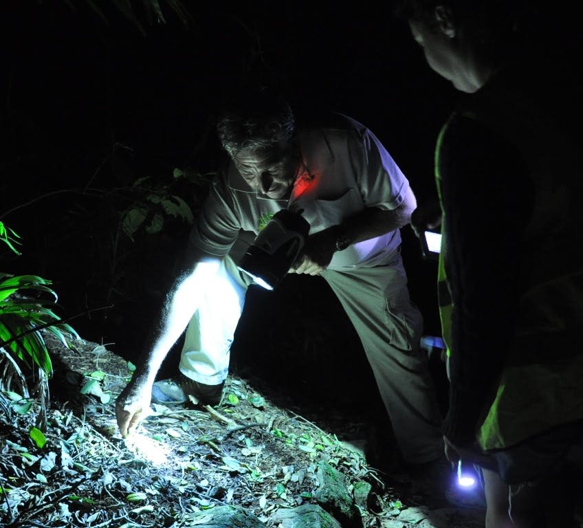 가이드와 함께하는 열대우림 투어