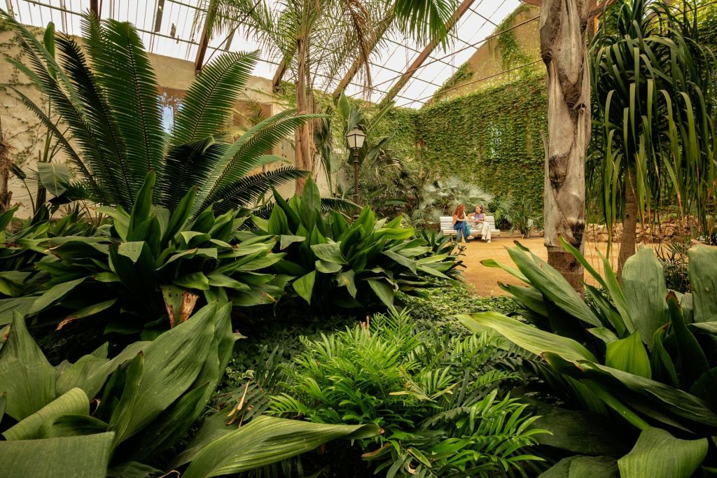 온실. 사마공원. 캄브릴스