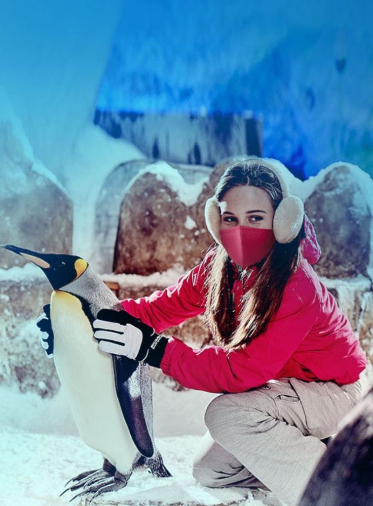 귀마개와 마스크 등 겨울옷을 입은 사람이 눈 덮인 환경에서 펭귄과 교감하고 있다.