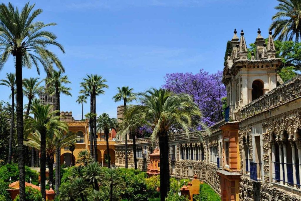 푸른 하늘 아래 야자수, 화려한 석조 건물, 보라색 자카란다 나무가 피어있는 유서 깊은 정원의 경치.