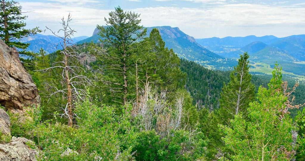 앞쪽에 나무가 있고 흐린 하늘 아래 먼 언덕이 있는 숲이 우거진 산의 경치.