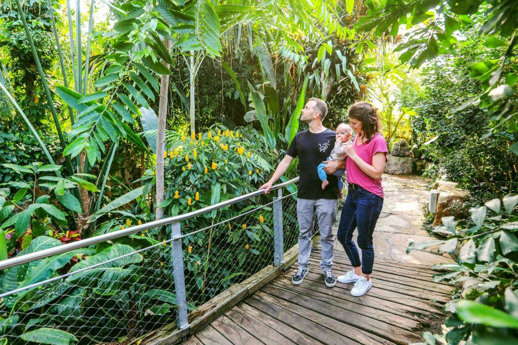 아기가 있는 남녀가 밝고 화창한 환경에서 울창한 녹음과 꽃으로 둘러싸인 나무길을 걷고 있습니다.