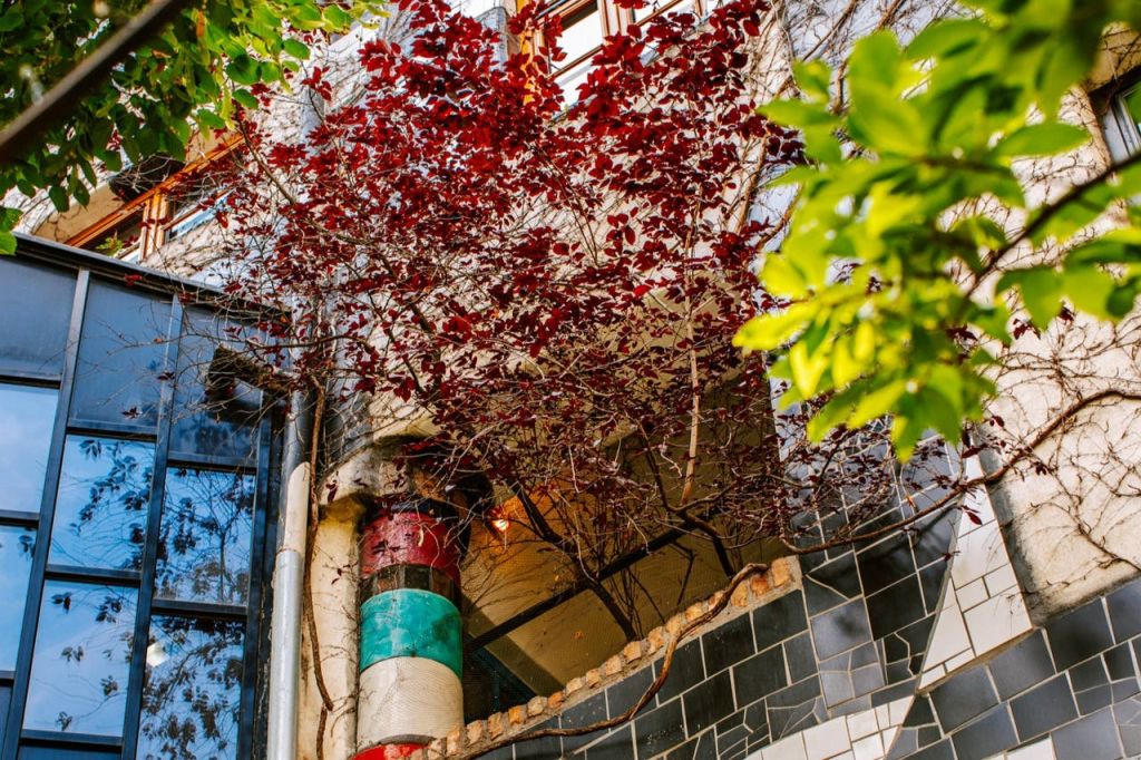 창밖으로 자라는 트리텐던트, KunstHausWien